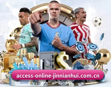 access-online-jinnianhui.com.cn的核心发展理念与愿景 - 体育资讯内容服务