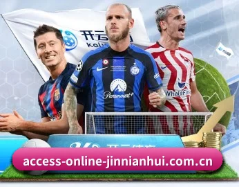 access-online-jinnianhui.com.cn的核心发展理念与愿景 - 体育资讯内容服务
